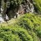Club Alpino Italiano - Sezione di Stresa